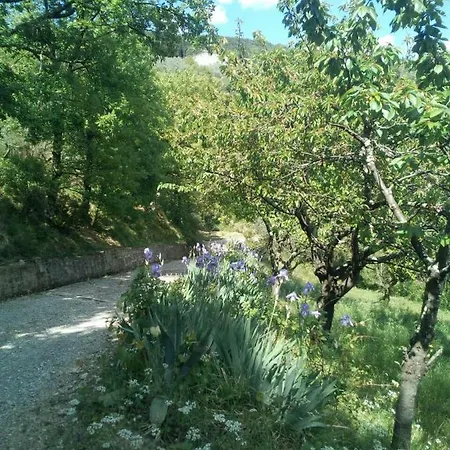 Desiderio Tuscany 4*