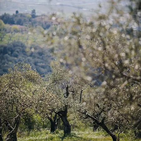 Maison d'hôtes Desiderio Tuscany *