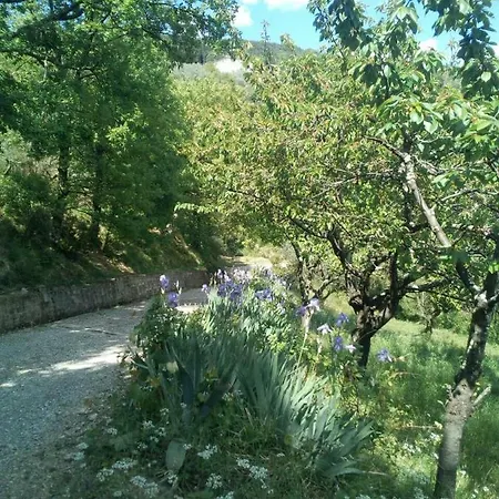 Desiderio Tuscany *